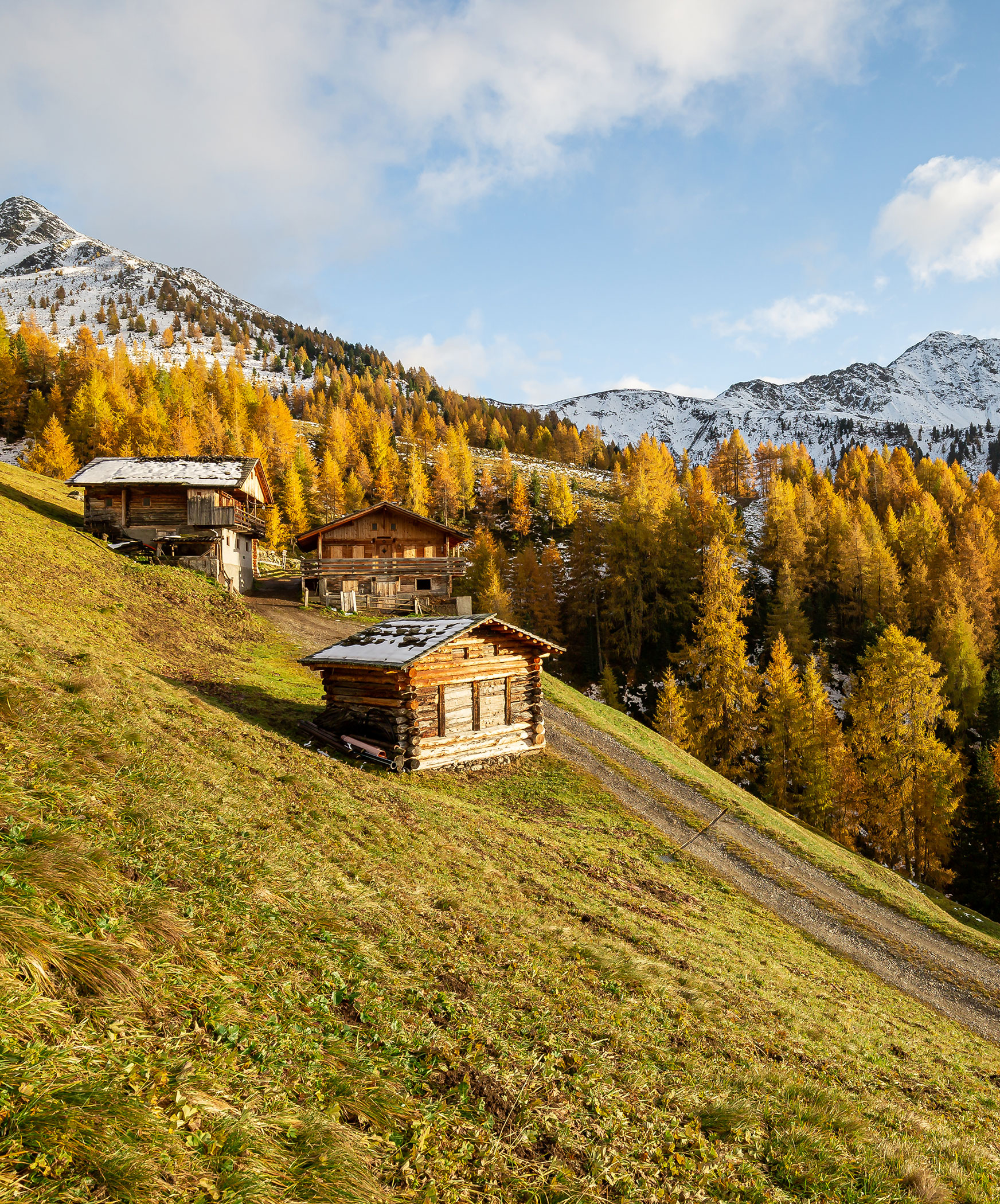 Almlandschaft Herbst